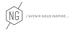 Logo NG-250x108