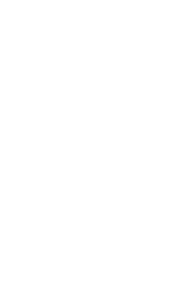 logo-NG Promotion-180x300-1