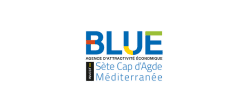 logo partenaire-blue invest