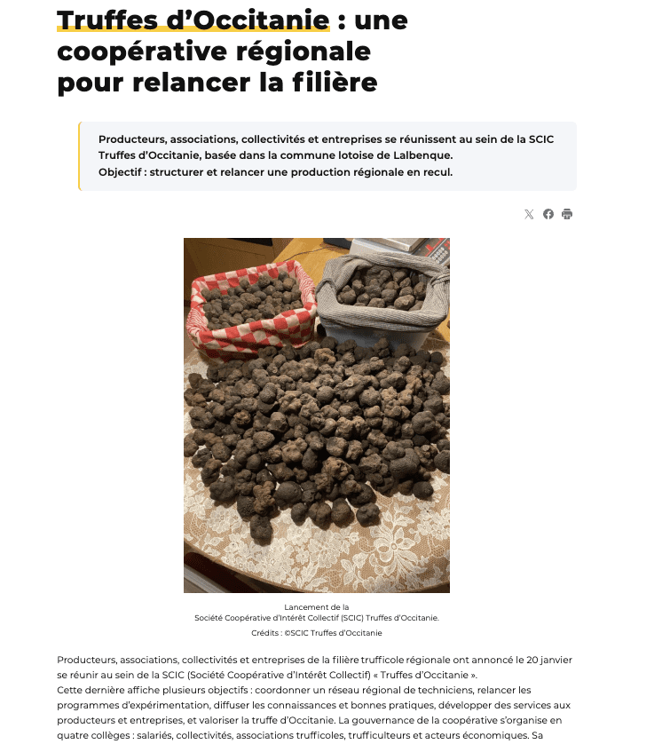 Occitanie news février 2025